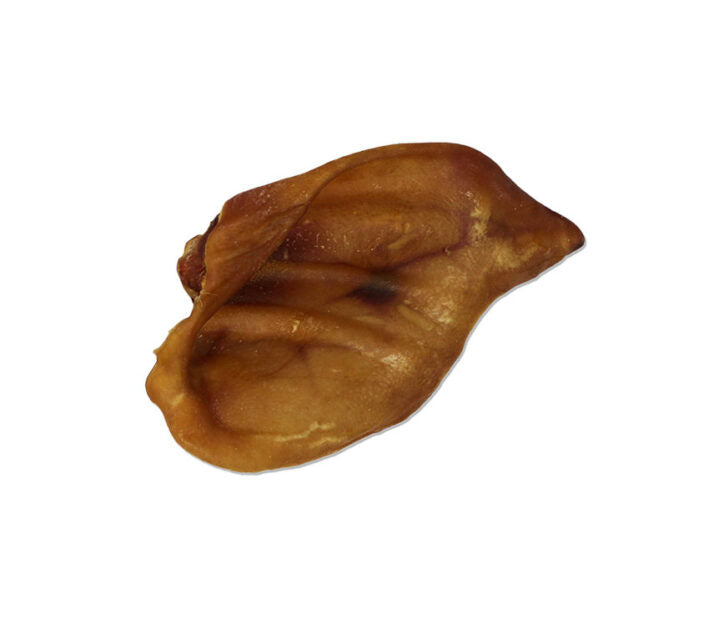 Oreille de porc