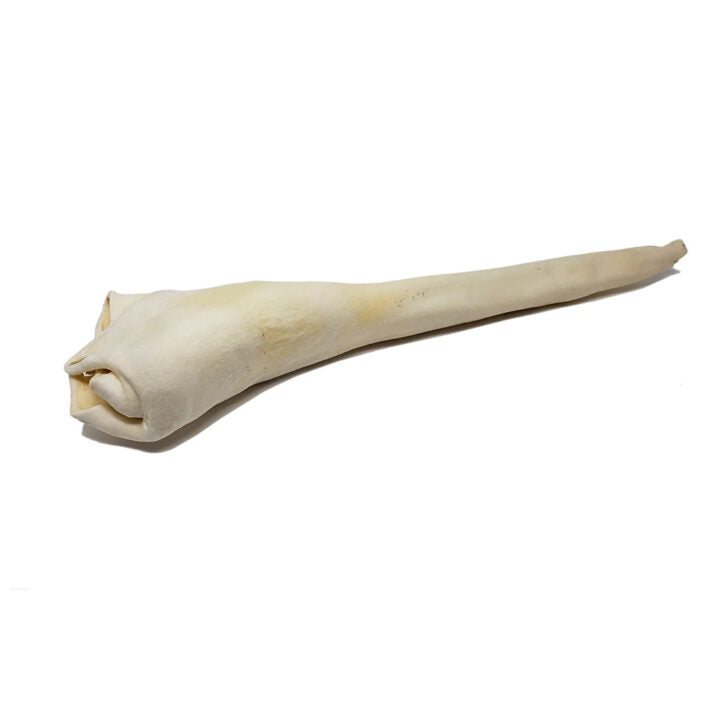 Queue de bœuf