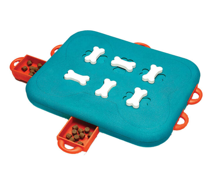 Jouet interactif Casino turquoise niveau 3