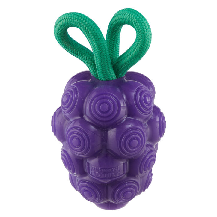 Jouet dentaire distributeur raisin 6 x 3 po