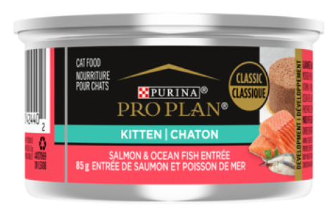 Nourriture humide classique pour chaton