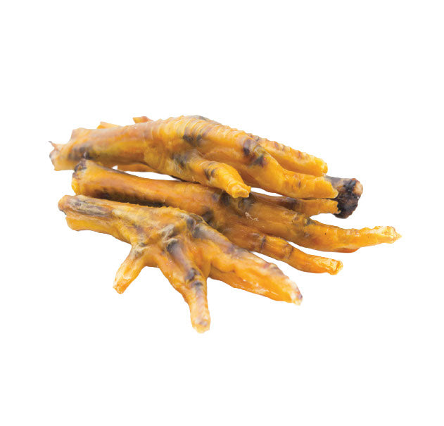 Patte de poulet naturelle pour chien grande 4-6 po