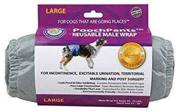 Couche lavable pour chien mâle