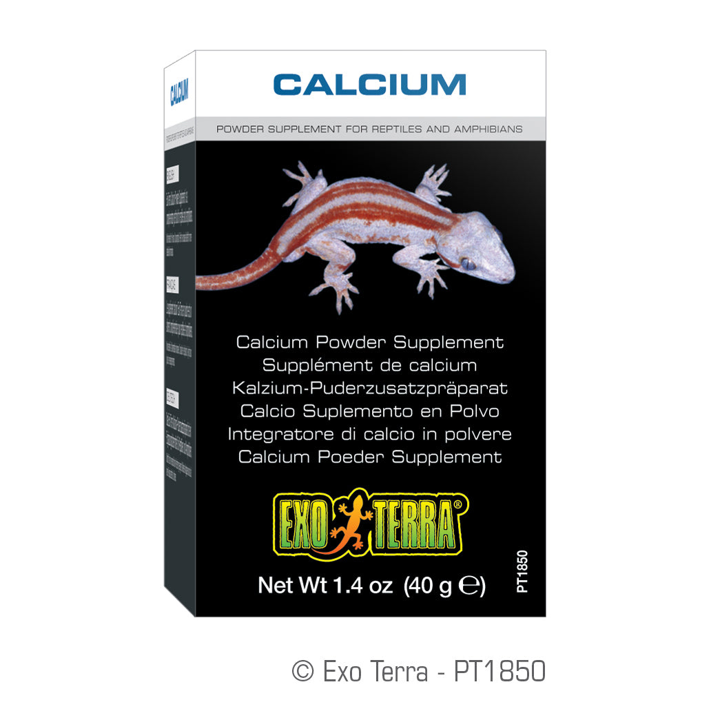 Supplément de calcium en poudre