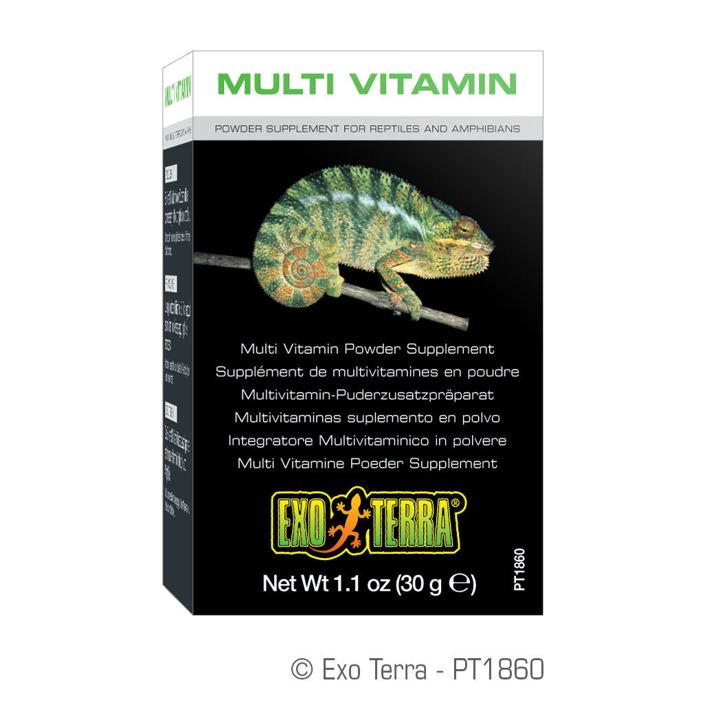 Supplément de multivitamines en poudre