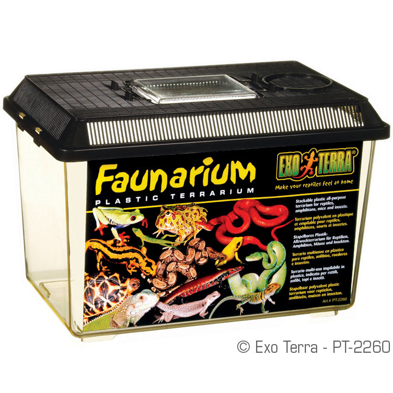 Faunarium, terrarium polyvalent en plastique