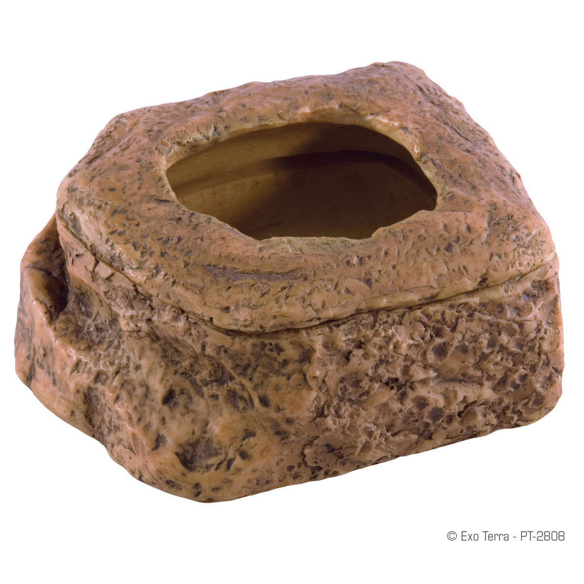 Distributeur de petits vers de farine Worm Dish