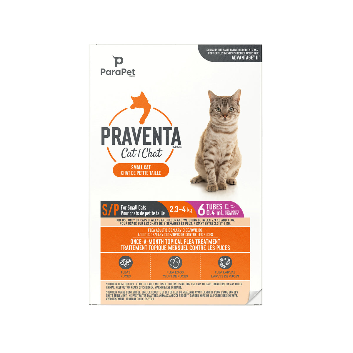 Traitement antipuces Praventa pour chats