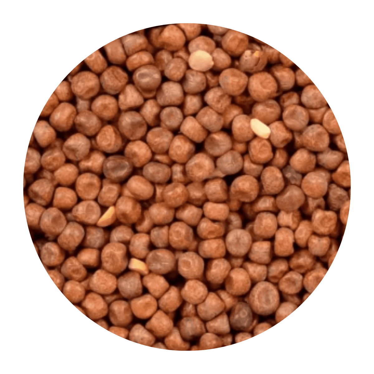 Pois Maple entiers 22,68 kg