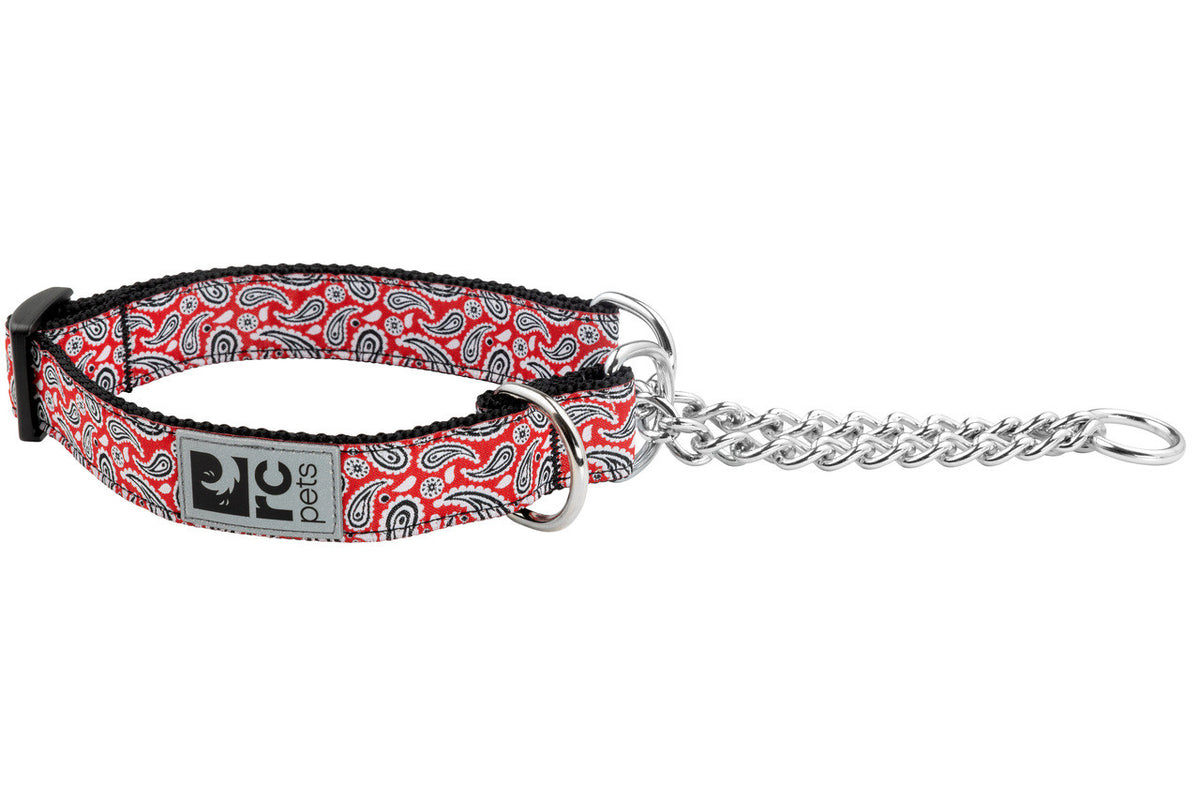 Collier de dressage à motifs pour chien - RC Pets