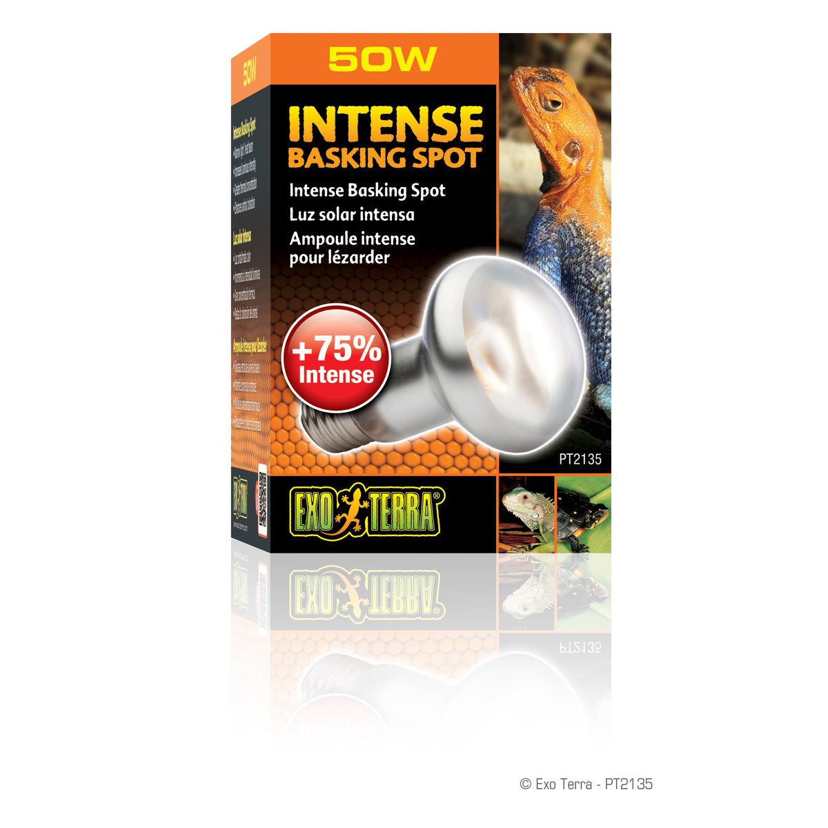 Ampoule Intense pour lézarder - Exo Terra