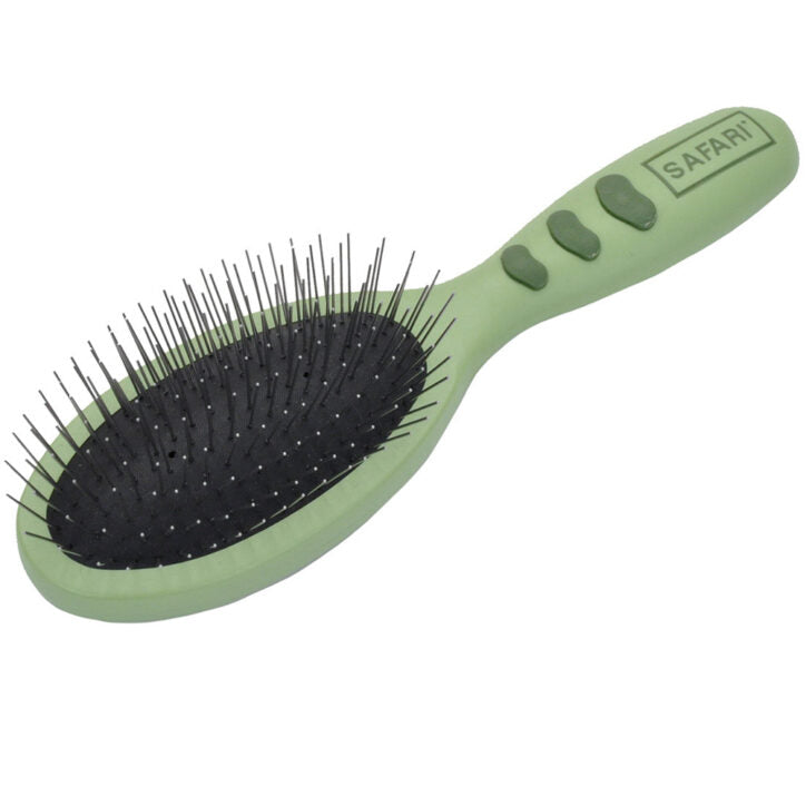 Brosse en acier pour chien