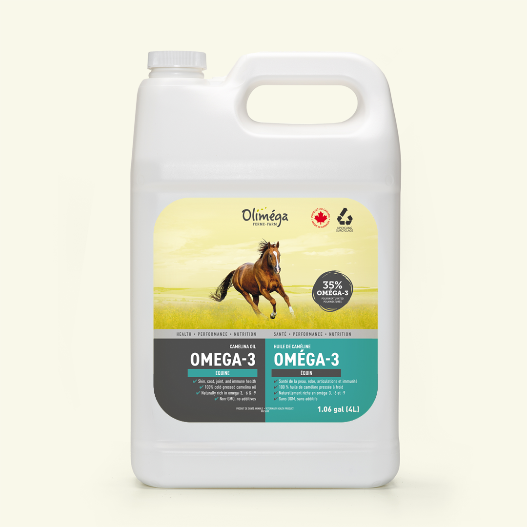Huile de cameline Olimega - supplément pour cheval