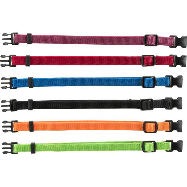 Ensemble de 6 colliers ajustables pour chiot