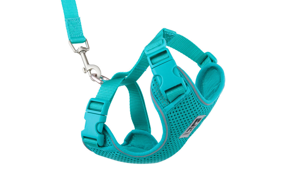 Harnais aventure pour chat - RC Pets