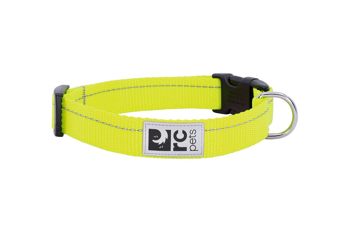 Collier de base pour chien - RC Pets