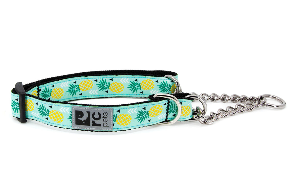 Collier de dressage à motifs