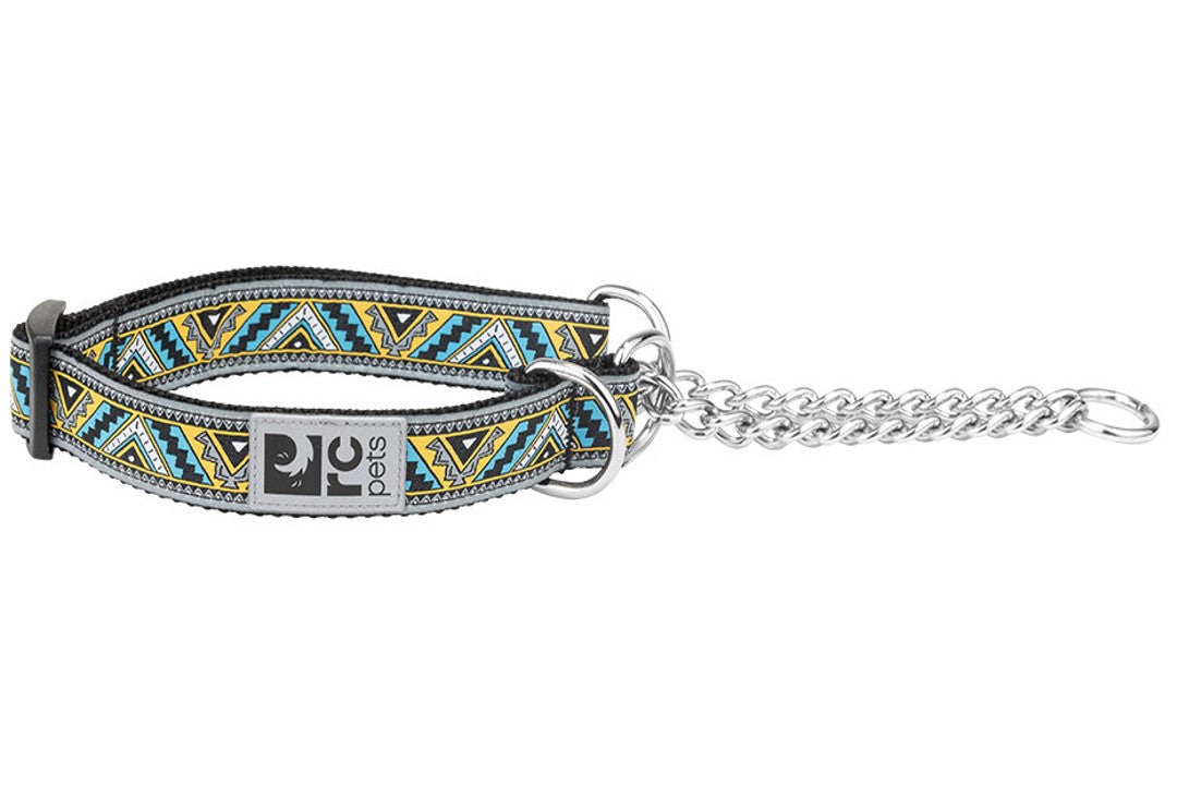 Collier de dressage à motifs pour chien - RC Pets