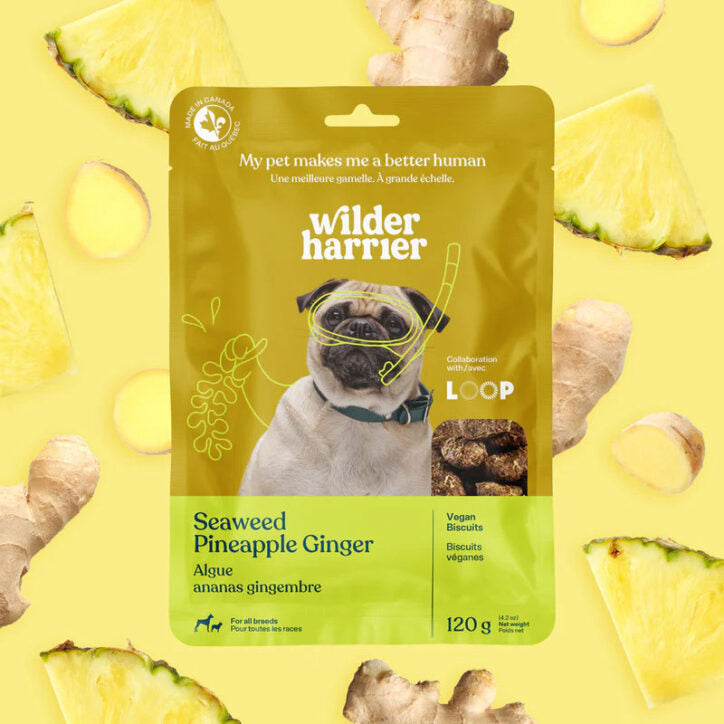 Biscuits véganes aux algues pour chien