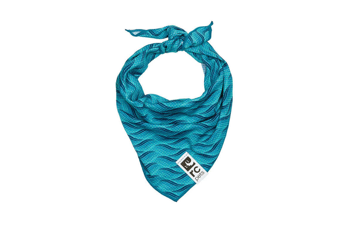 Bandana rafraîchissant Zephyr pour chien - RC Pets