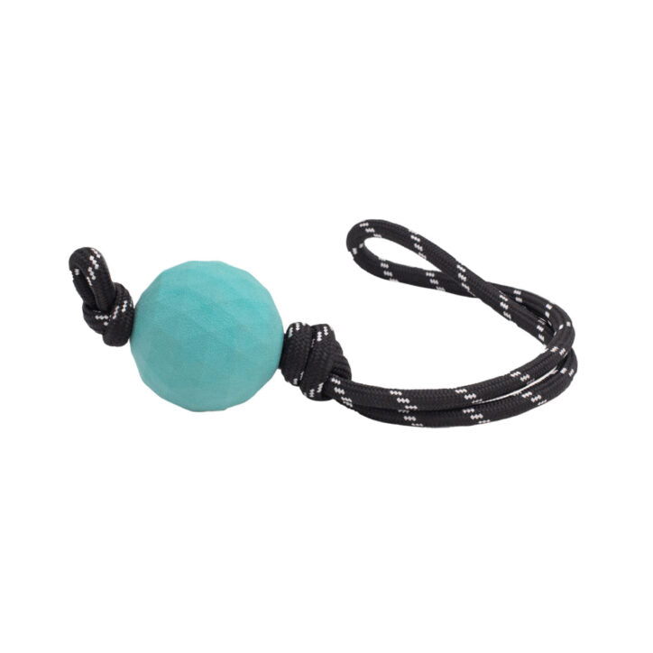 Jouet à tirer ZippyTuff Waggle RopeTugz turquoise 19 x 3 x 3 po pour chien