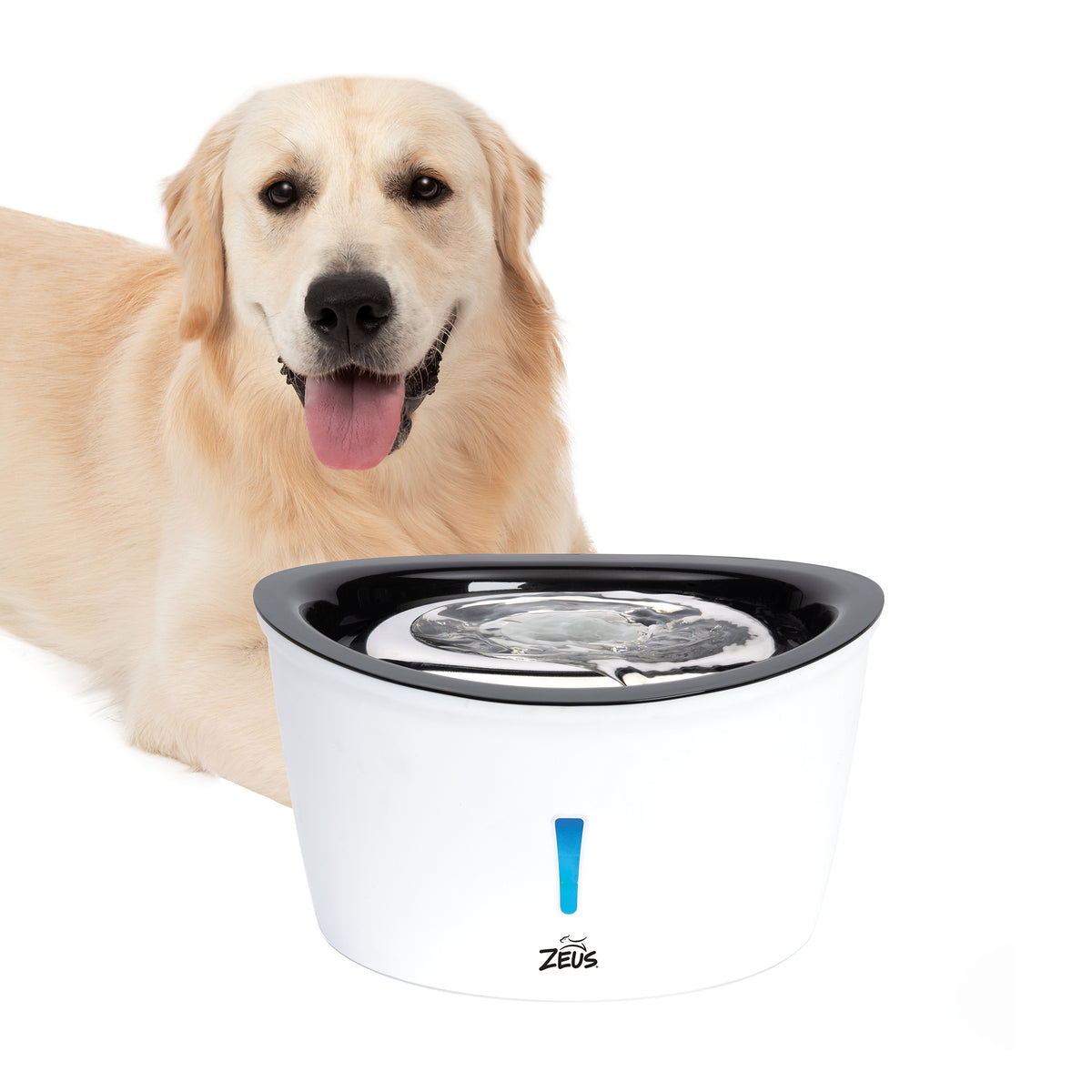 Abreuvoir Cascade en acier inoxydable 6 L
