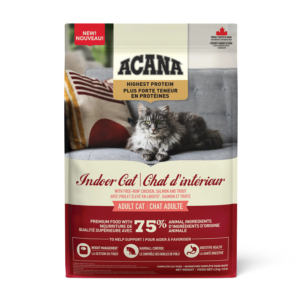 Plus forte teneur en protéines chat d'intérieur - nourriture sèche pour chat