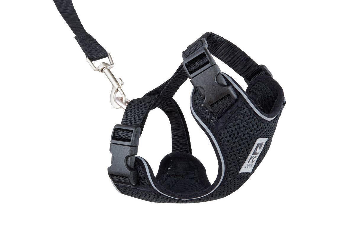 Harnais aventure pour chat - RC Pets