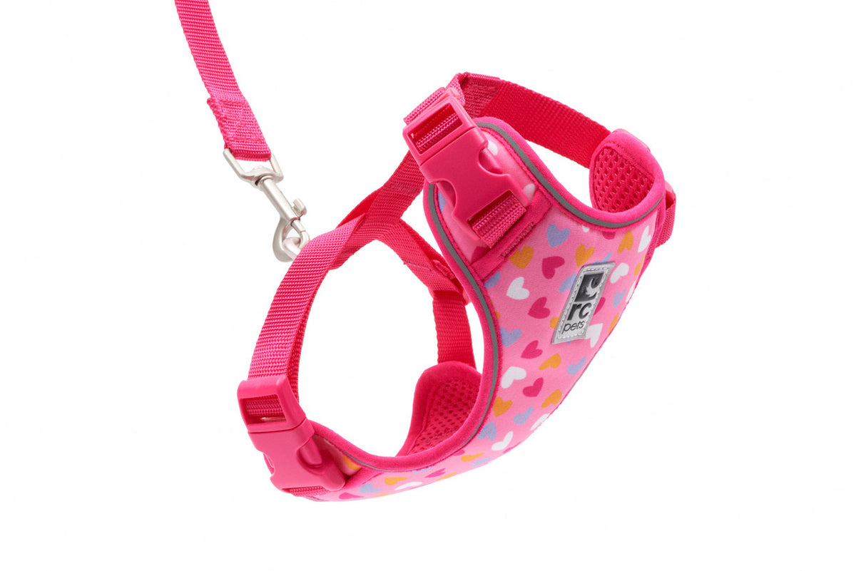 Harnais aventure pour chat - RC Pets