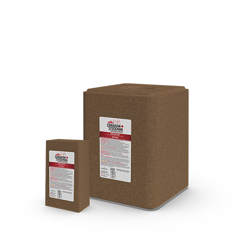 Bloc de sel à lécher iodé rouge 2 kg