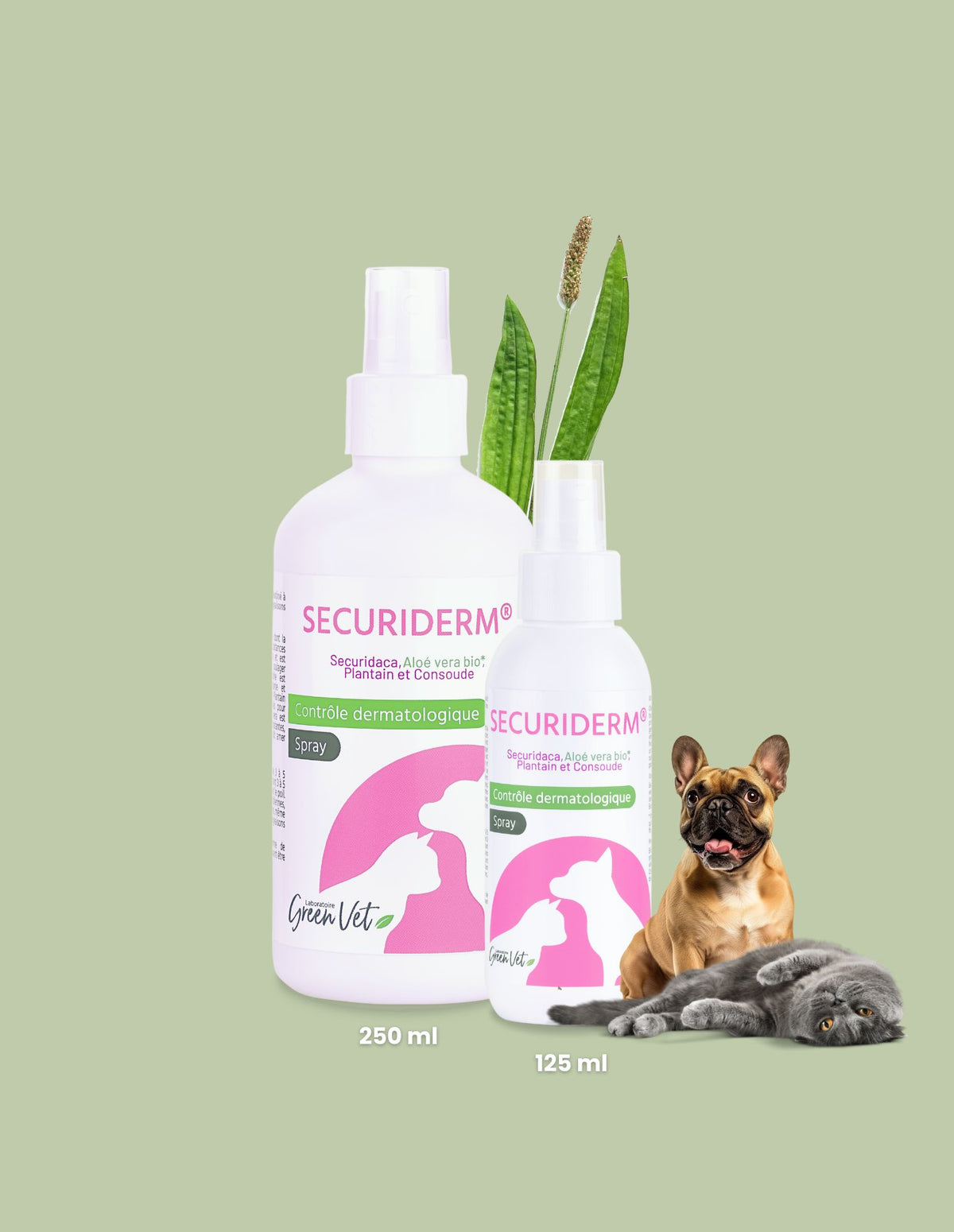 Securiderm spray à l'aloe vera bio 125 ml - soin de la peau pour chien et chat