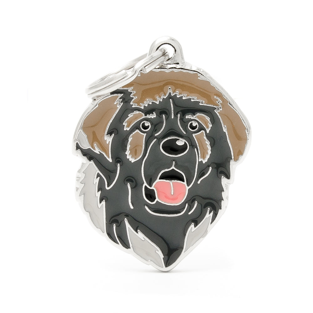 Médaille Leonberg