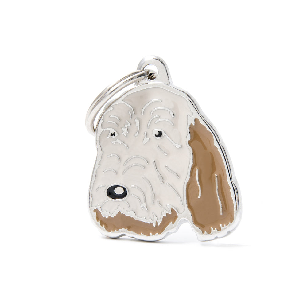 Médaille Spinone italien
