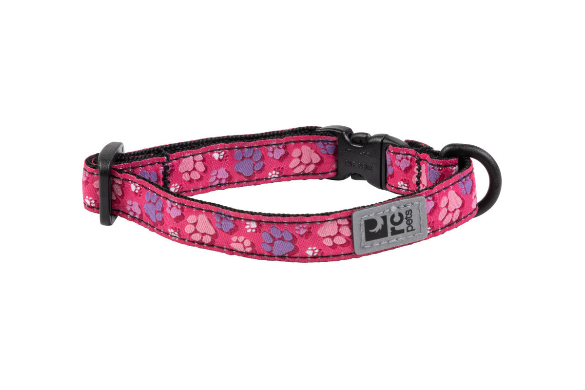 Collier sécuritaire à motifs pour chat - RC Pets