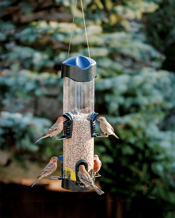 Mangeoire Squirrel Buster Mega 600