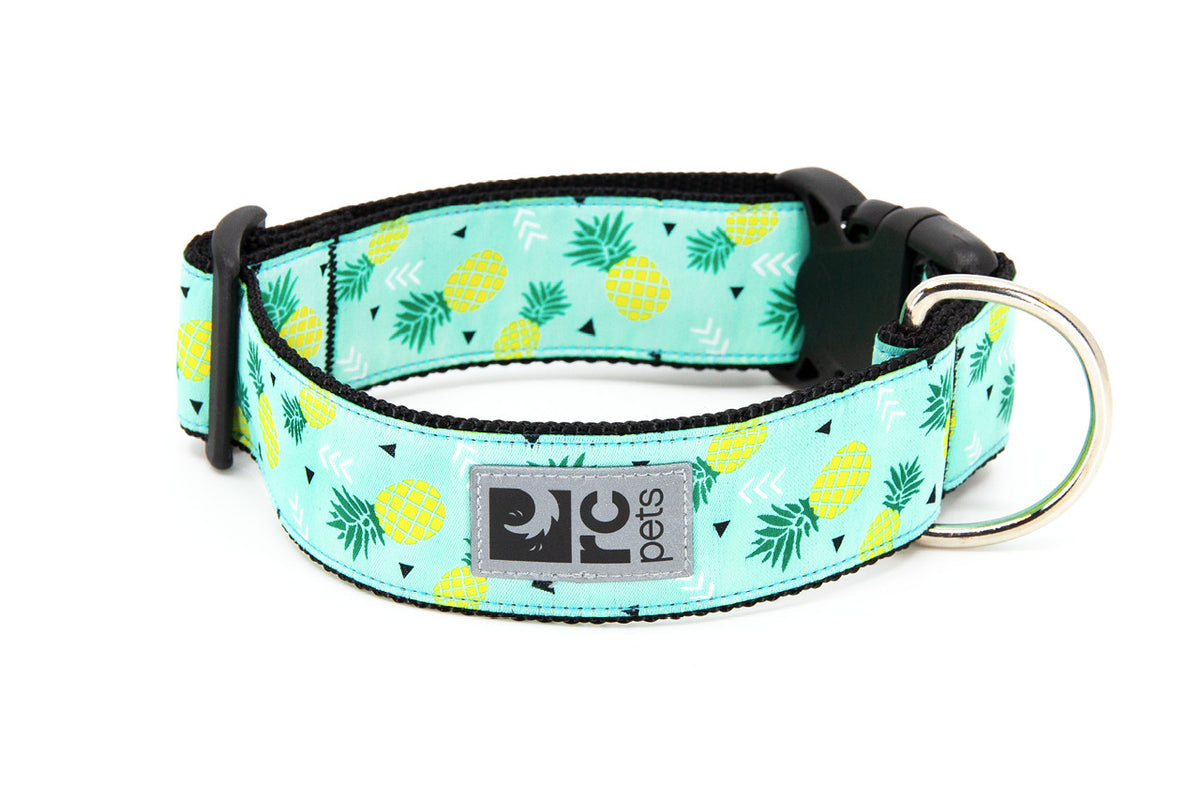 Collier large pour chien - RC Pets