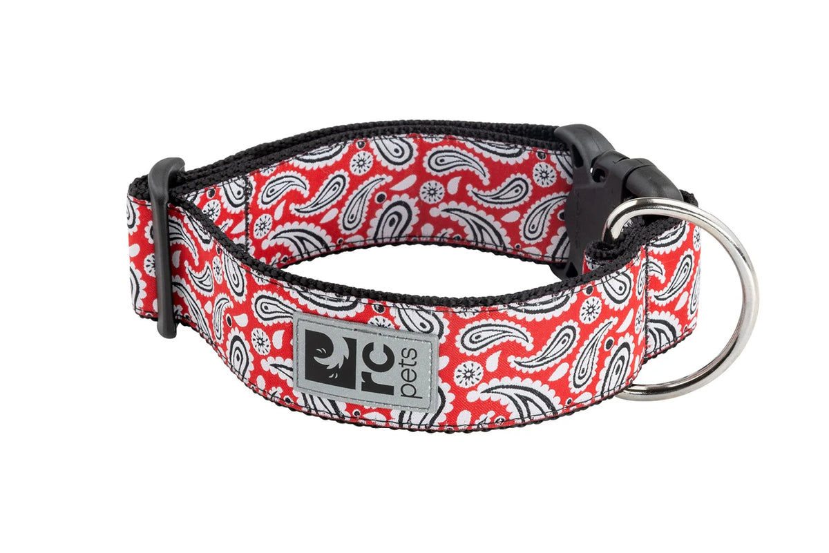 Collier large pour chien - RC Pets