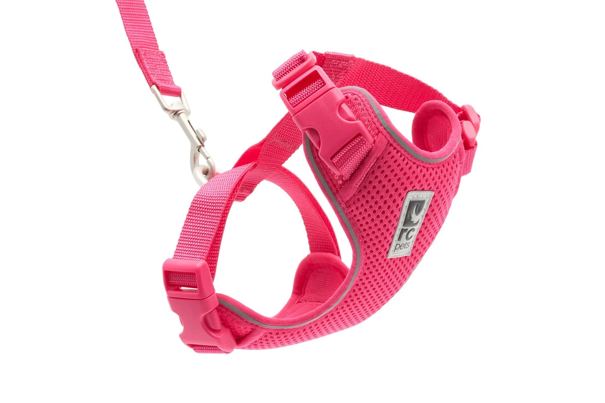 Harnais aventure pour chat - RC Pets