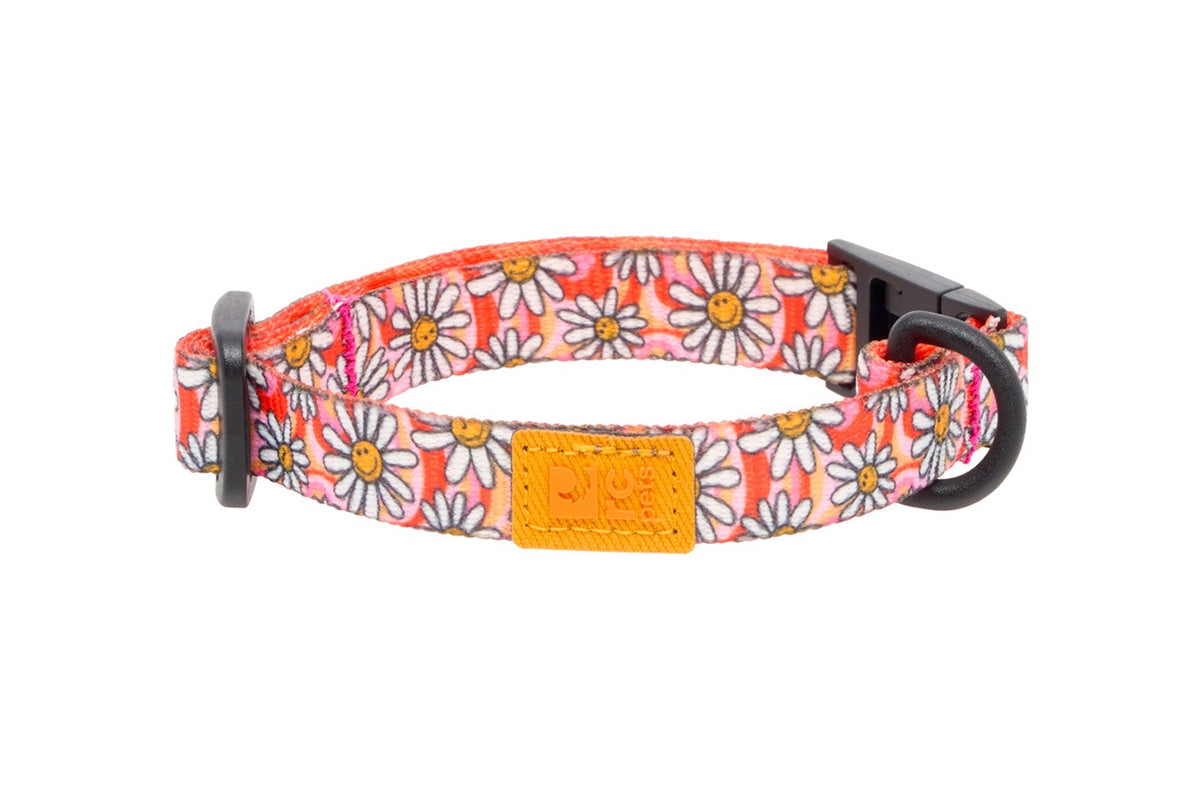 Collier éco sécuritaire pour chat