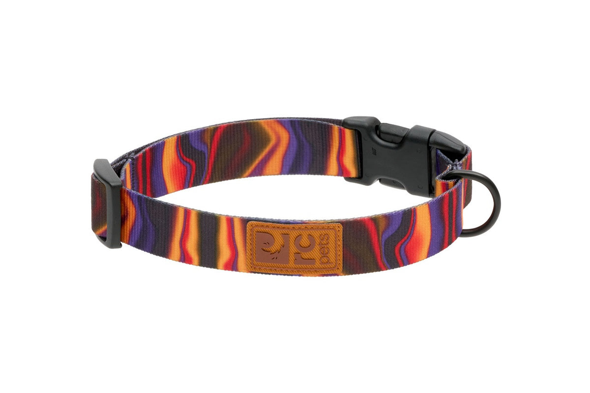 Collier éco pour chien - RC Pets