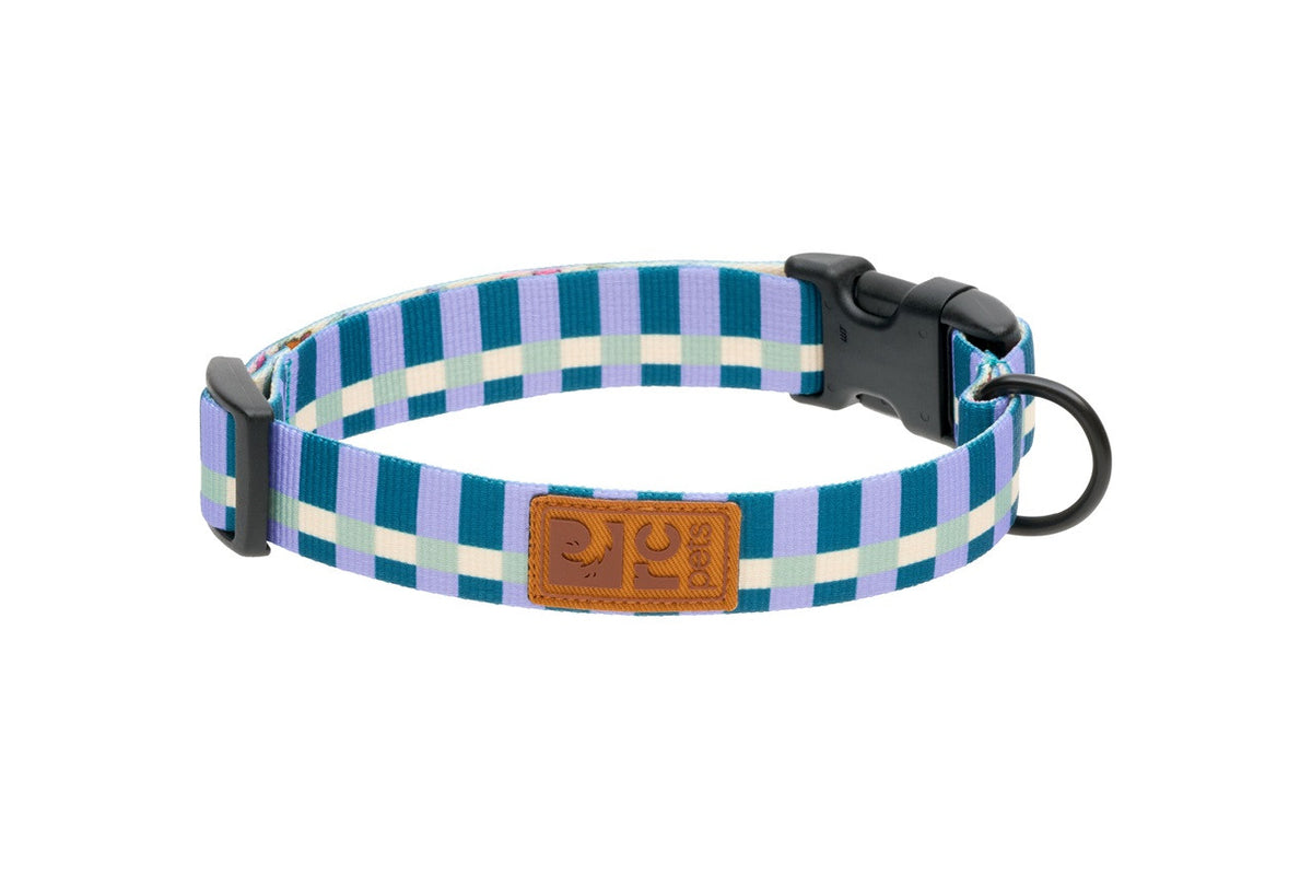 Collier éco pour chien - RC Pets