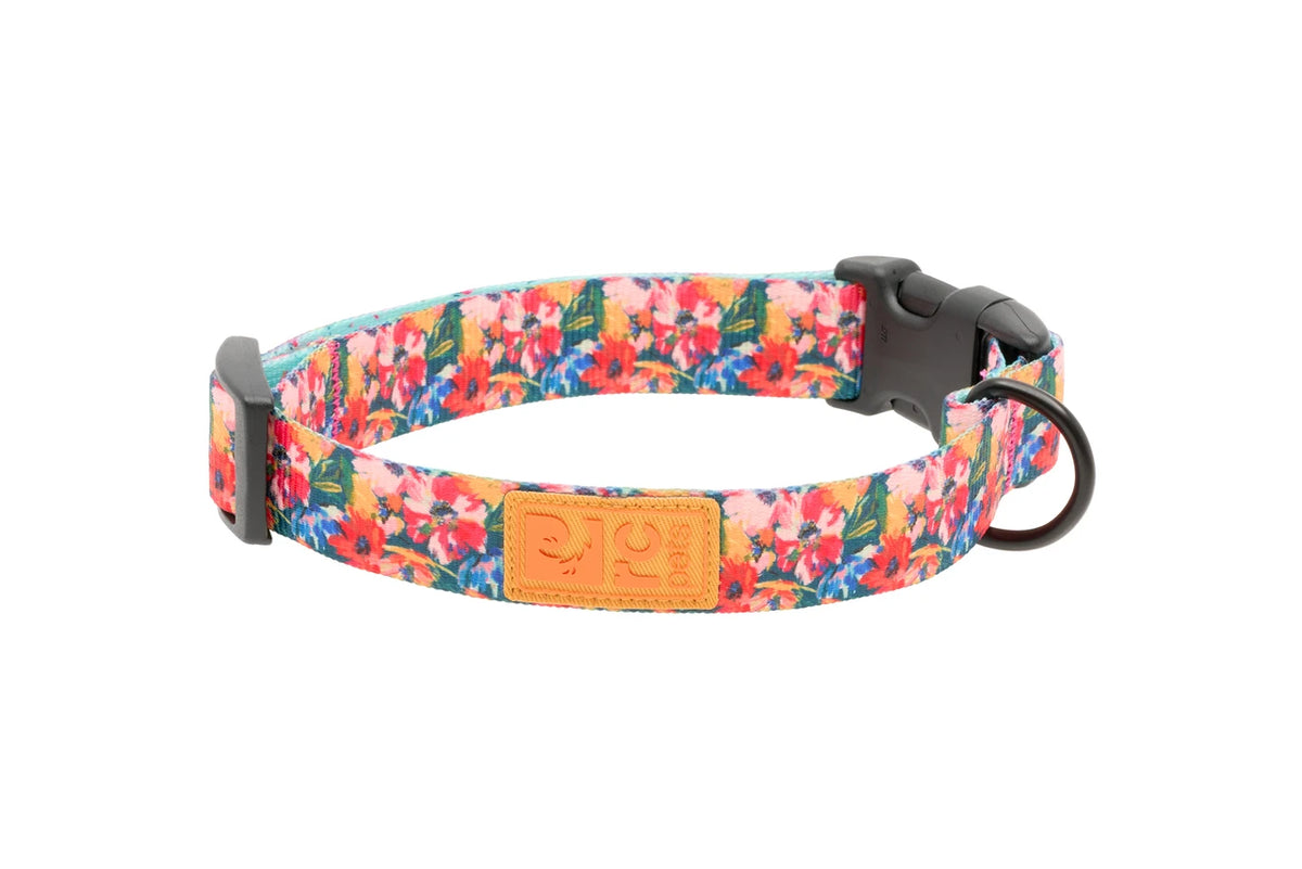 Collier éco pour chien - RC Pets