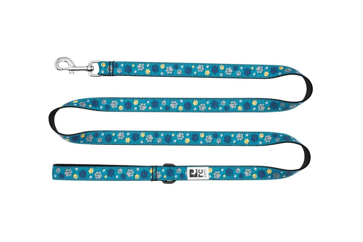 Laisse à motifs 6 pi