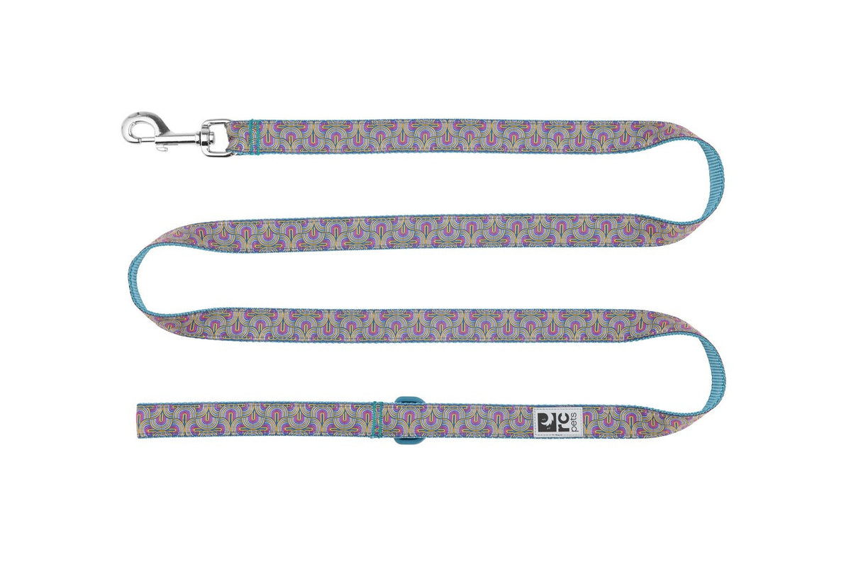Laisse à motifs 6 pi