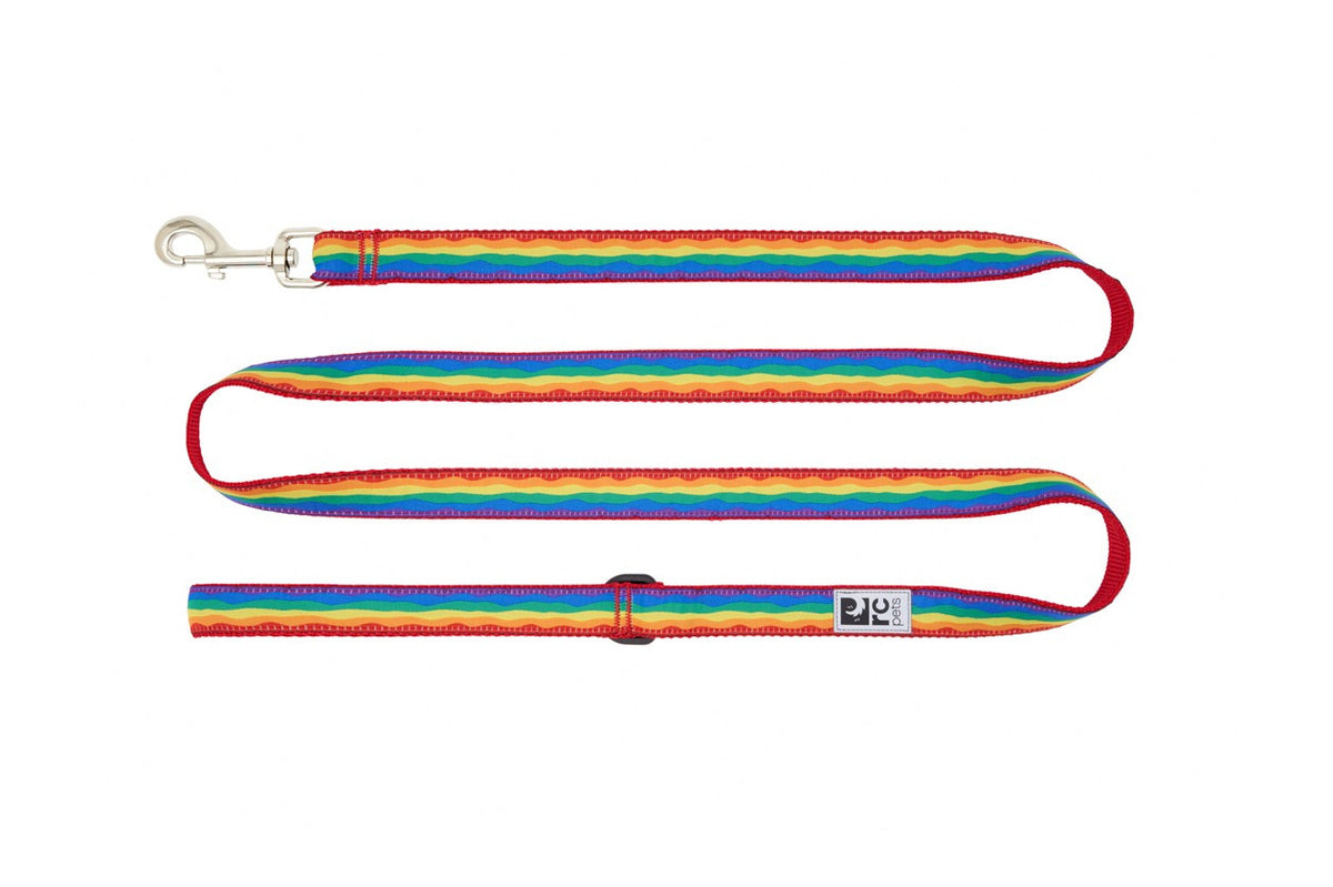 Laisse à motifs 6 pi