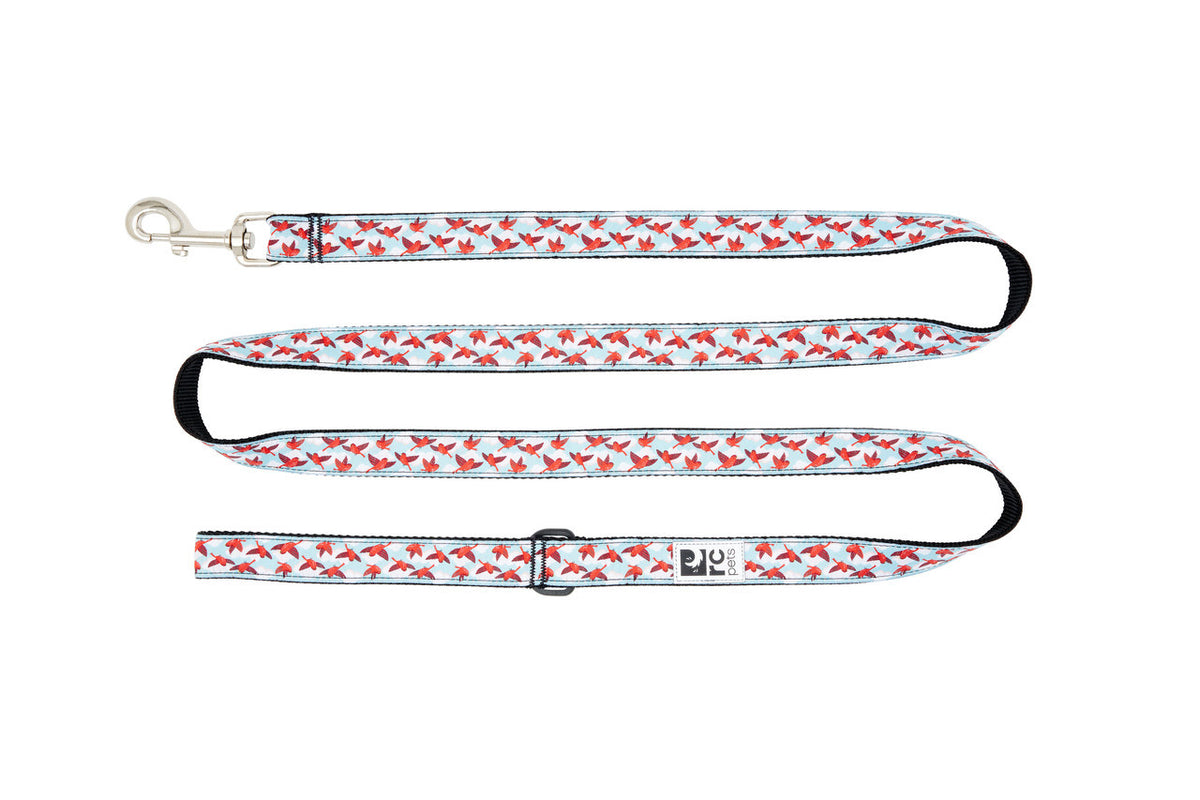 Laisse à motifs 6 pi