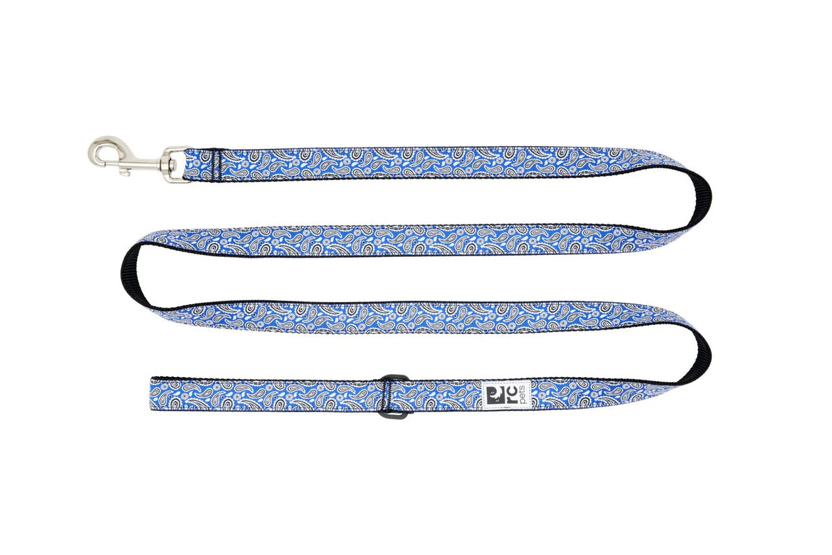 Laisse à motifs 6 pi