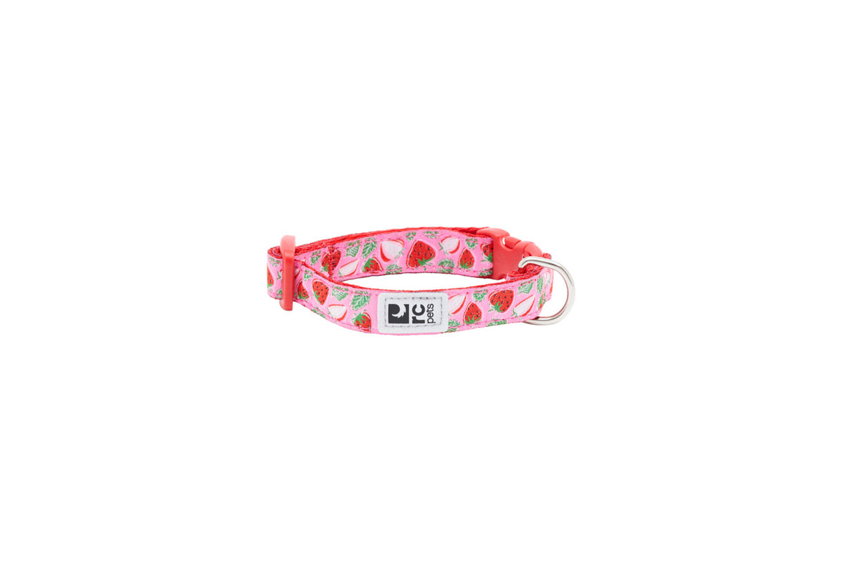 Collier Petite à motifs 1/2 po pour chien - RC Pets