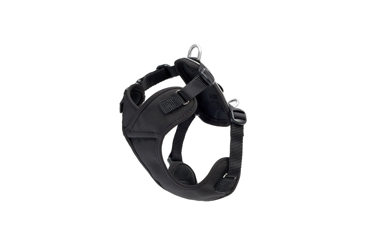 Harnais Explorateur Petite pour chien - RC Pets