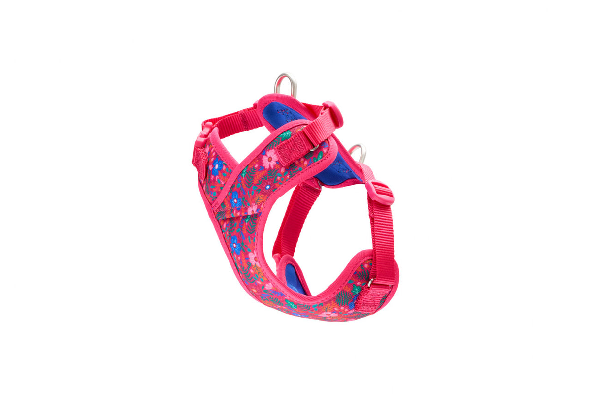 Harnais Explorateur Petite